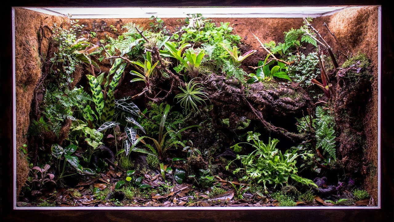 Reptile Enclosure (8x8 Ft)